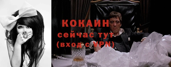 прущие грибы Лагань