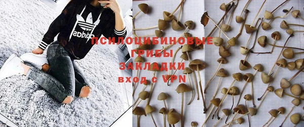 mix Надым