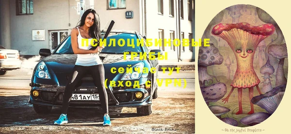 mix Надым